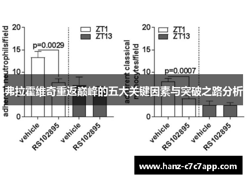 弗拉霍维奇重返巅峰的五大关键因素与突破之路分析 弗拉霍维奇重返巅峰的五大关键因素与突破之路分析