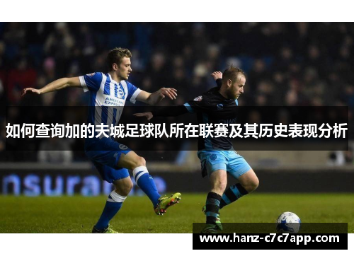 如何查询加的夫城足球队所在联赛及其历史表现分析