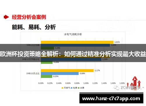 欧洲杯投资策略全解析：如何通过精准分析实现最大收益