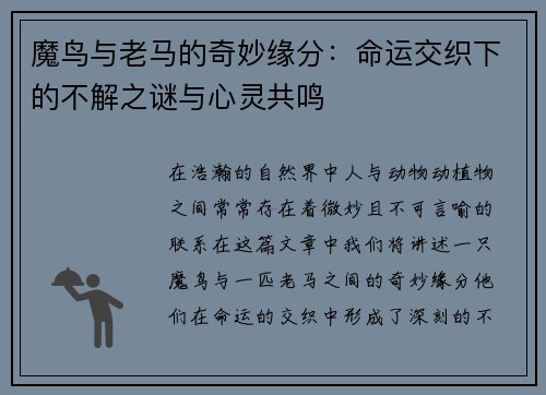魔鸟与老马的奇妙缘分：命运交织下的不解之谜与心灵共鸣