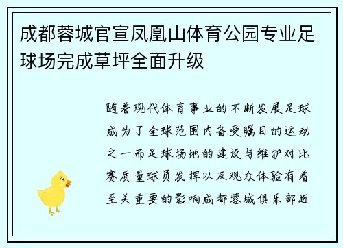 成都蓉城官宣凤凰山体育公园专业足球场完成草坪全面升级