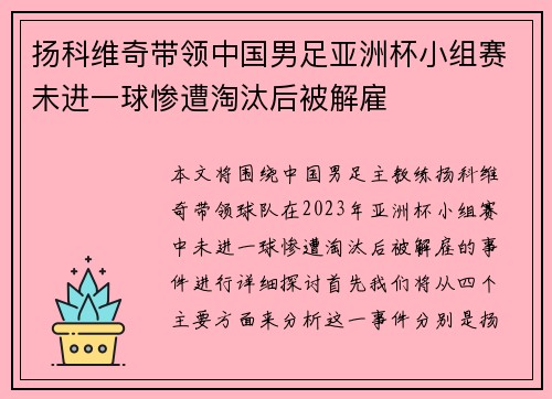 扬科维奇带领中国男足亚洲杯小组赛未进一球惨遭淘汰后被解雇